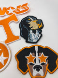 Tennessee Patches